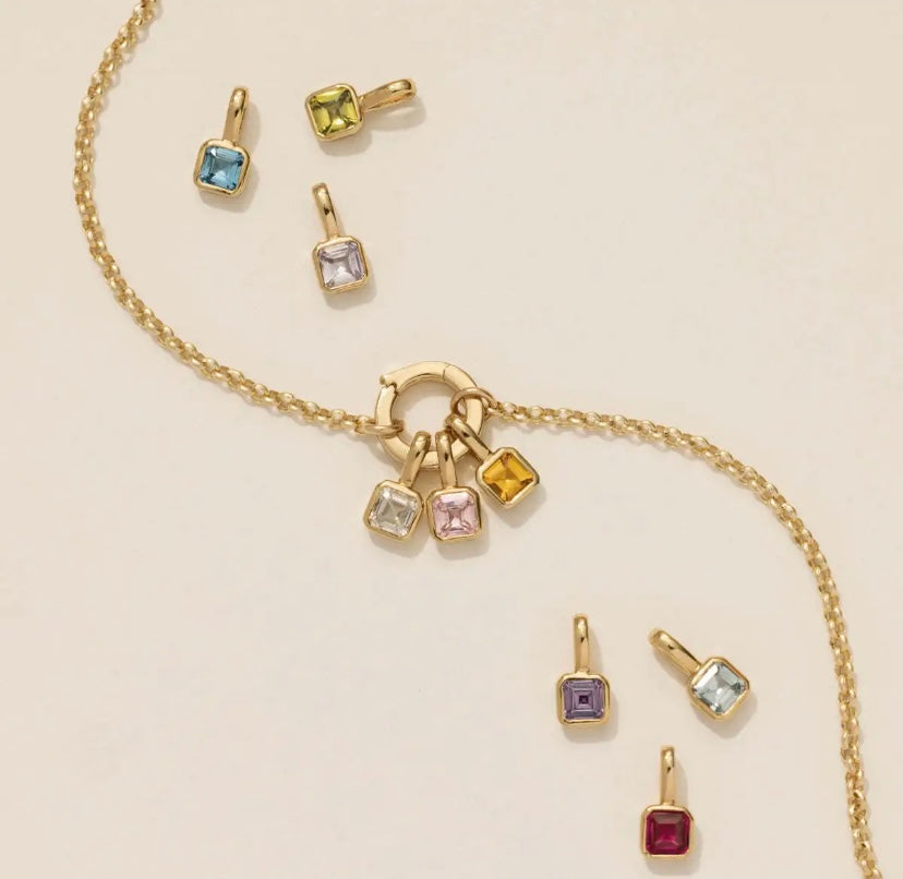 Birthstone Charm Necklace