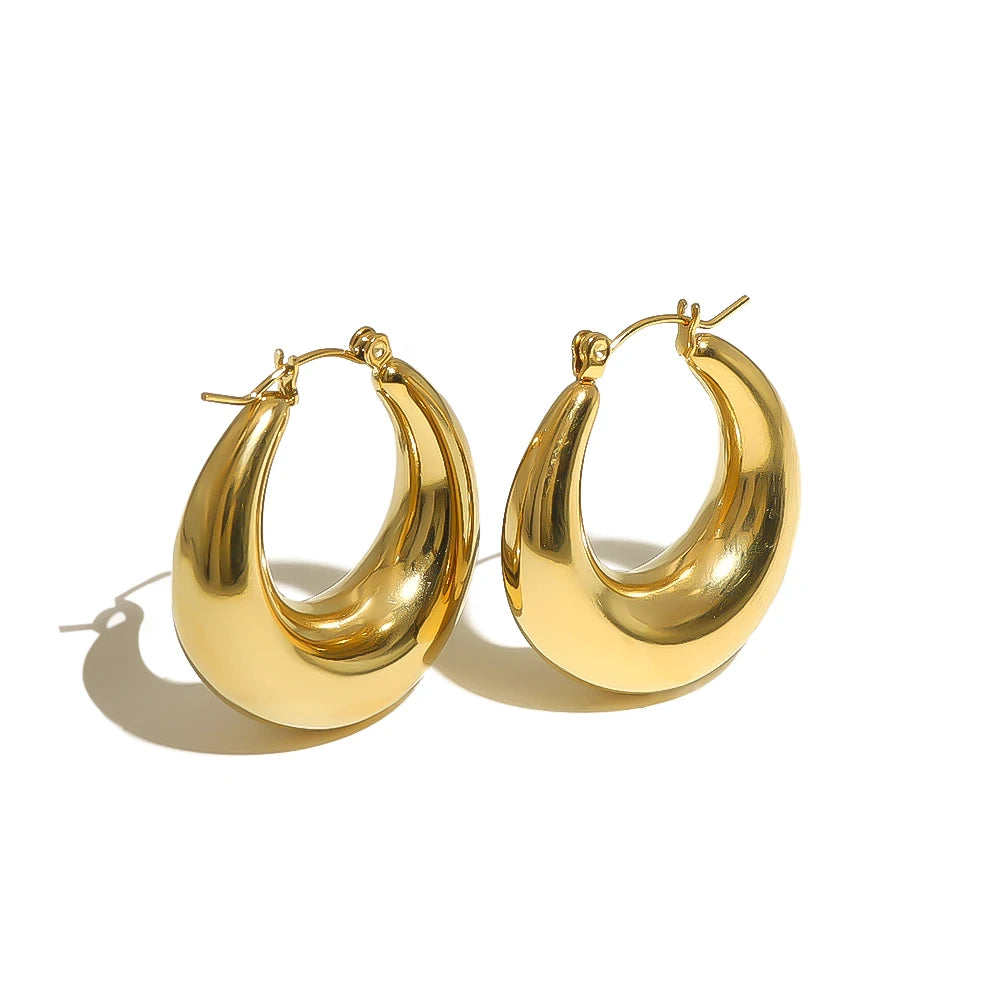 Chunky Hoop Earrings